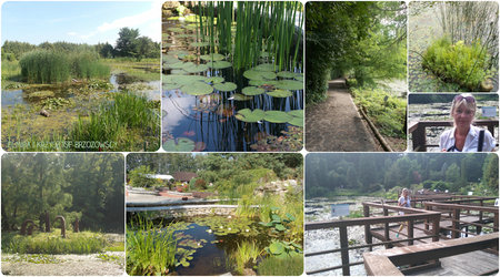 Arboretum Bolestraszyce_2..jpg