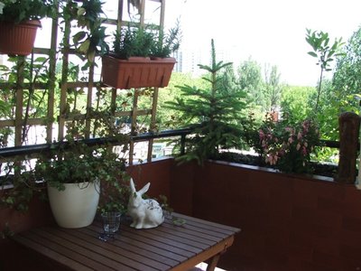 BALKON (13).jpg