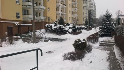 27 stycznia 2013 012.jpg