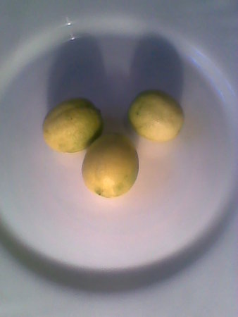 trzy zerwane owoce Limonelli.jpg