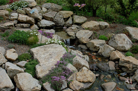 rockery garden 1.jpg