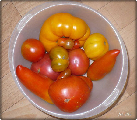 pomidory.JPG