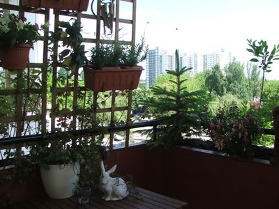 BALKON (12).jpg