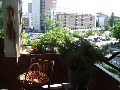 BALKON (14).jpg