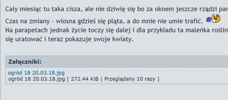 forum coś nie tak.JPG