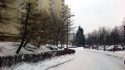 27 stycznia 2013 010.jpg