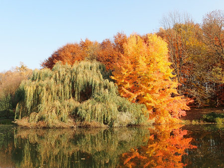 Arboretum w Przelewicach 2018-11-07 4309.JPG