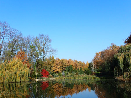 Arboretum w Przelewicach 2018-11-07 4310.JPG