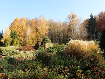 Arboretum w Przelewicach 2018-11-07 4346.JPG