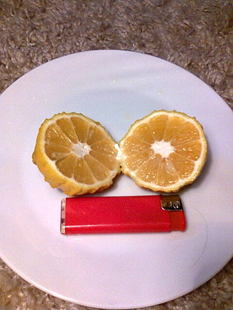 owoc skala---Citrus aurantium canaliculata=Pomarańcza gorzka=Pomarańcza kwaśn.jpg