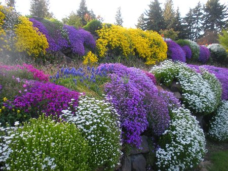 rockery-spring-colors.jpg