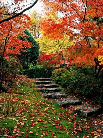 Cool-Garden-Stair-Ideas-For-Inspiration-14.jpg
