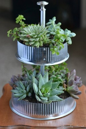 tabletop-succulent-terranium.jpg