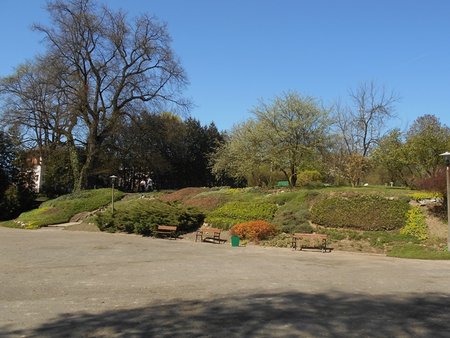 azOgrod Botaniczny UMCS 2016-04-17 7450.JPG