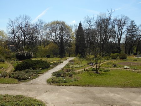 azOgrod Botaniczny UMCS 2016-04-17 7452.JPG