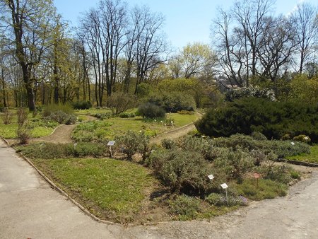 azOgrod Botaniczny UMCS 2016-04-17 7455.JPG